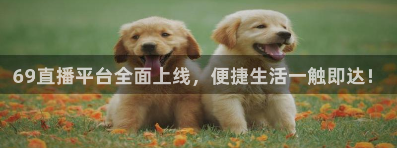 69直播平台全面上线，便捷生活一触即达！